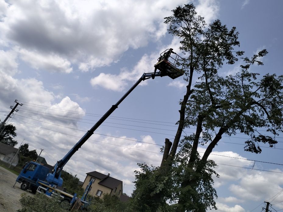 Оренда автовишки послуги автовишка