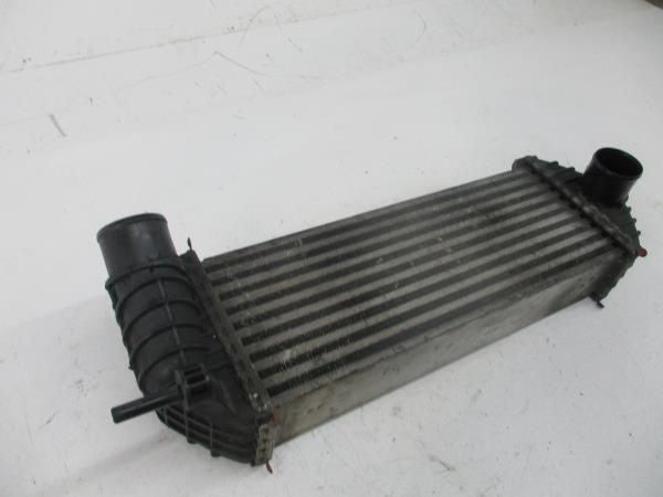 Radiador do intercooler RENAULT Clio III (BR0/1, CR0/1)