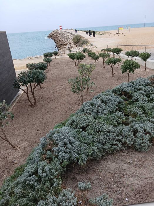 serviços de jardinagem