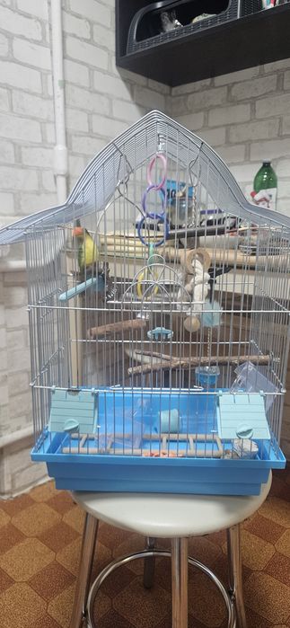клітка для папуги