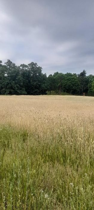 Działki budowlane #Hetmanice#
