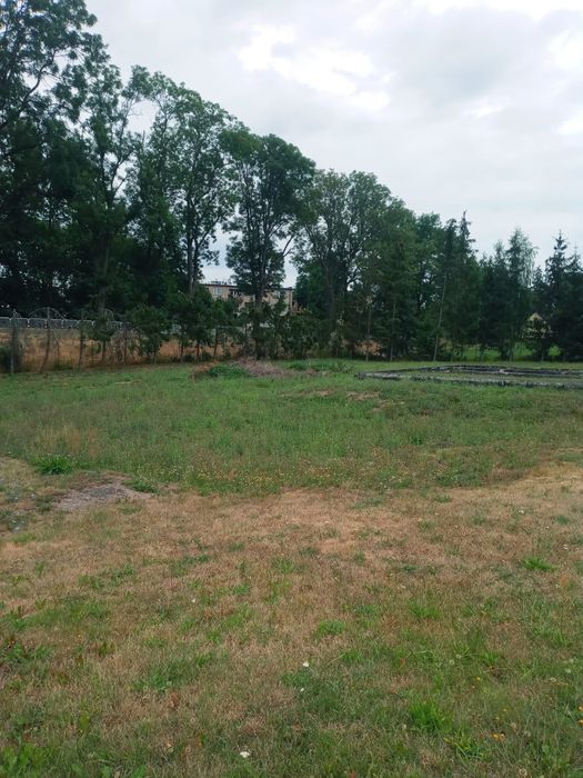 Sprzedam działkę usługową.