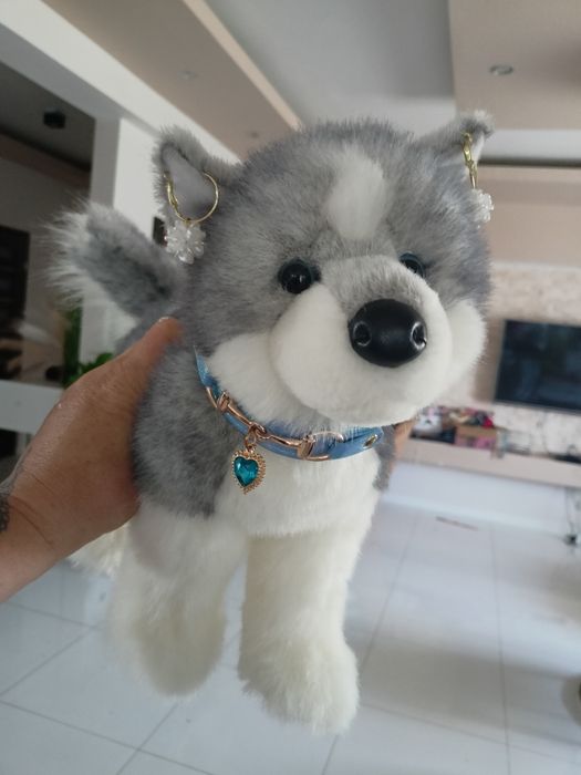 Douglas pluszak Sasha husky wyjątkowy