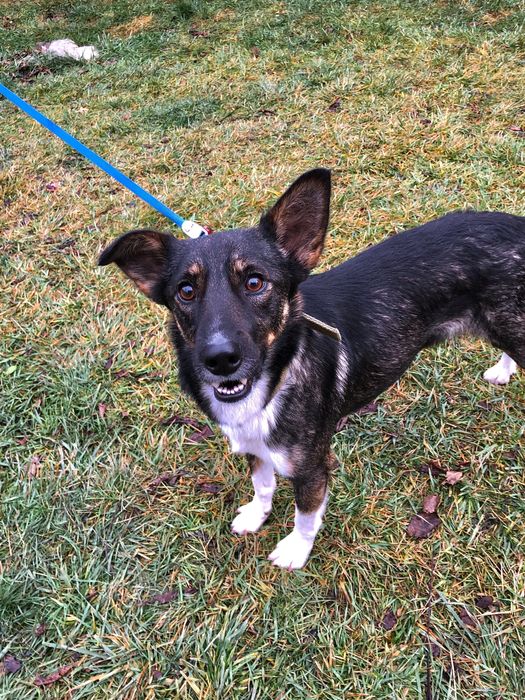 Хлопчик шукає родину