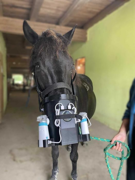 Bezprzewodowy zestaw do inhalacji konia EquiPrint