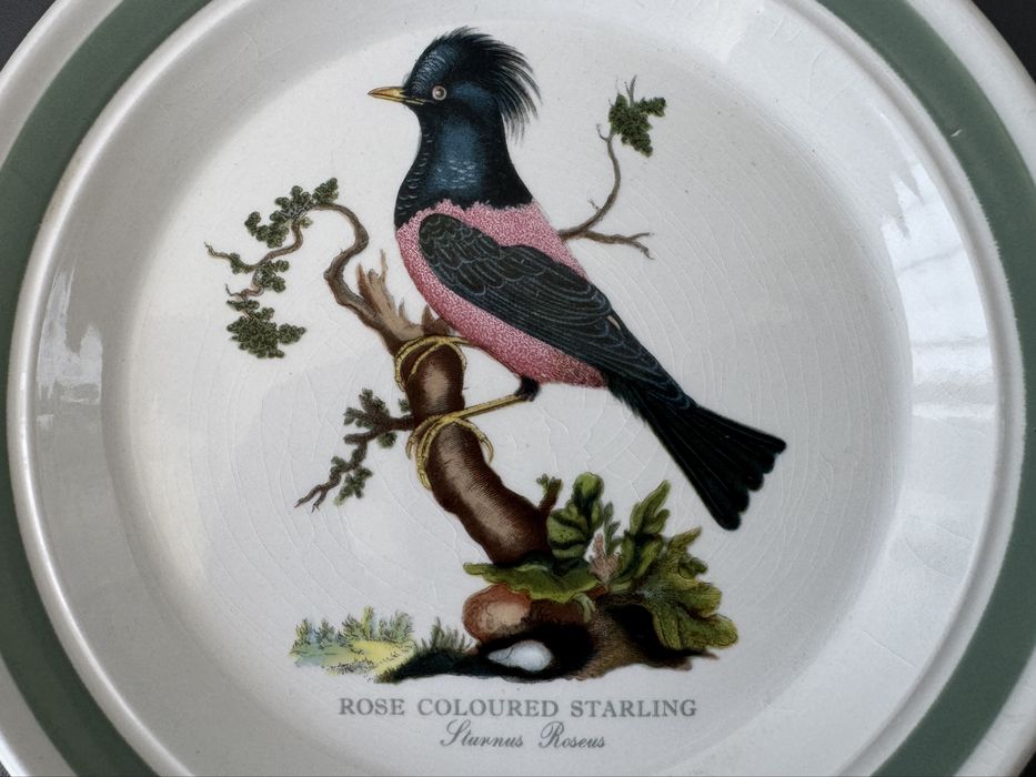 Вінтажна тарілка Portmeirion Birds of Britain 1978 рік