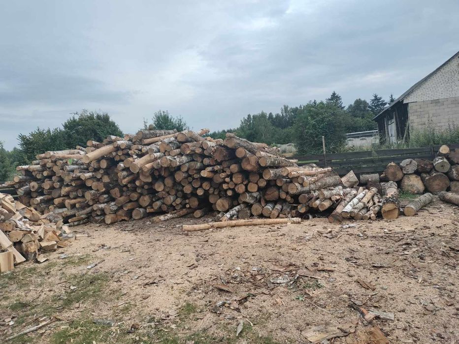 Brzoza opałowa 230zł