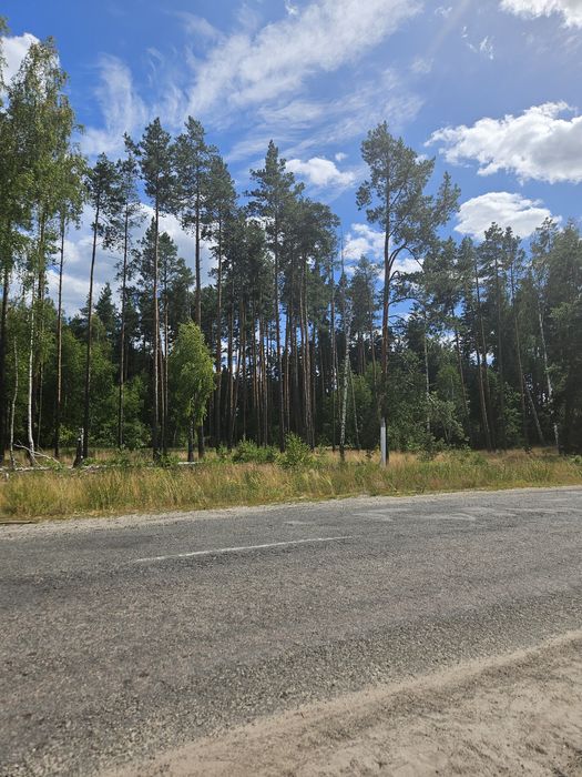 Продажа,обмен участка от 0.24Га с.Нежиловичи, застройка в лесу