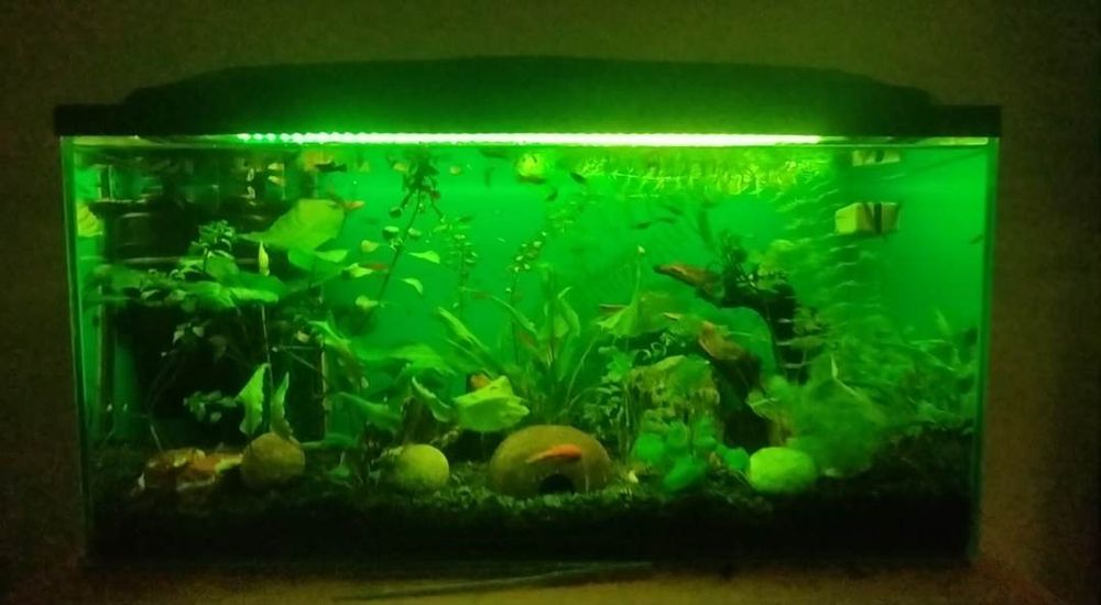 Akwarium 112 l Opti White