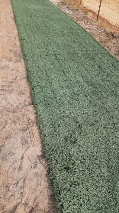 Relva sintetica artificial