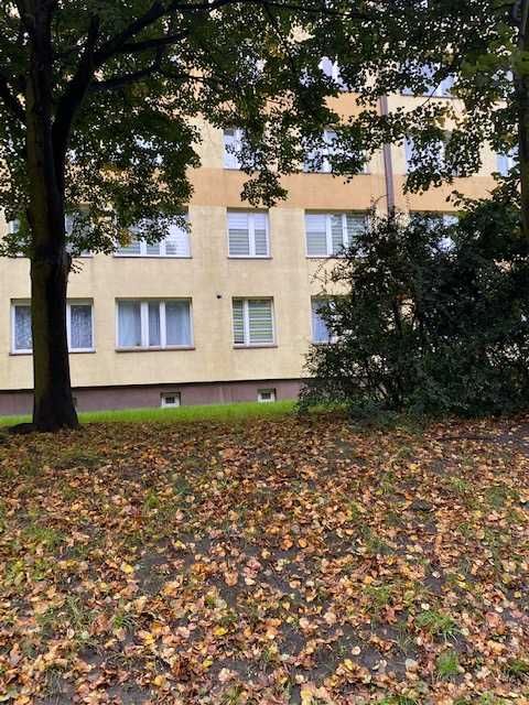 Wynajmę mieszkanie w Świętochłowicach -Skałka