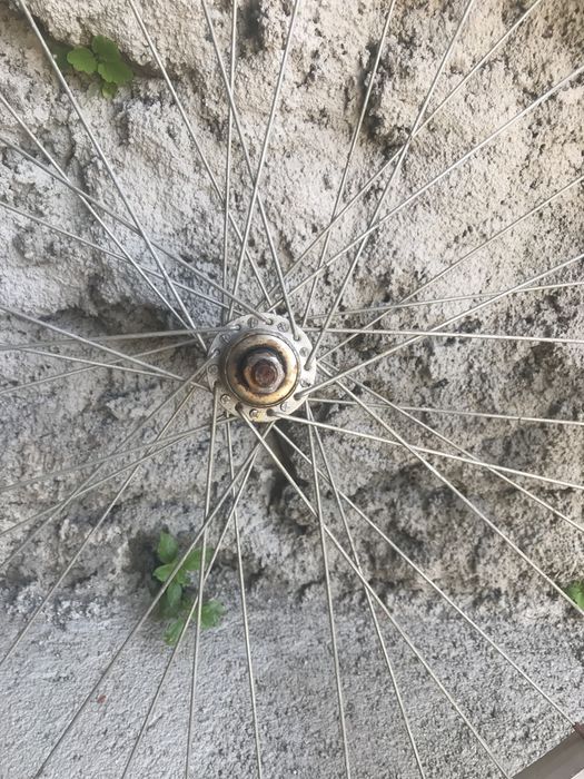 Aros mais pneus de bicicleta.