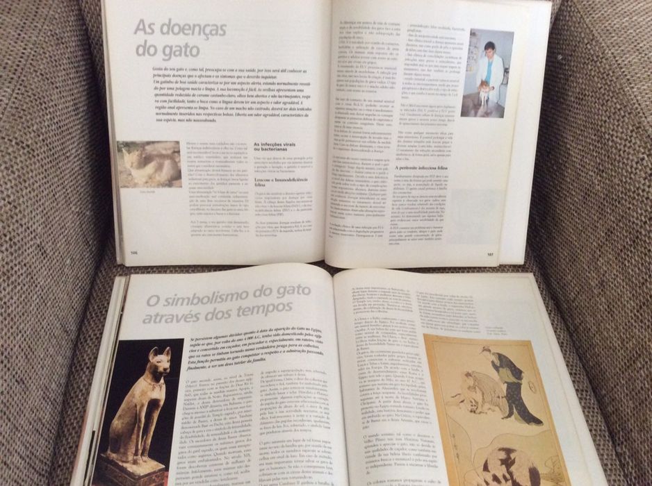 Emviclopedia do Gato