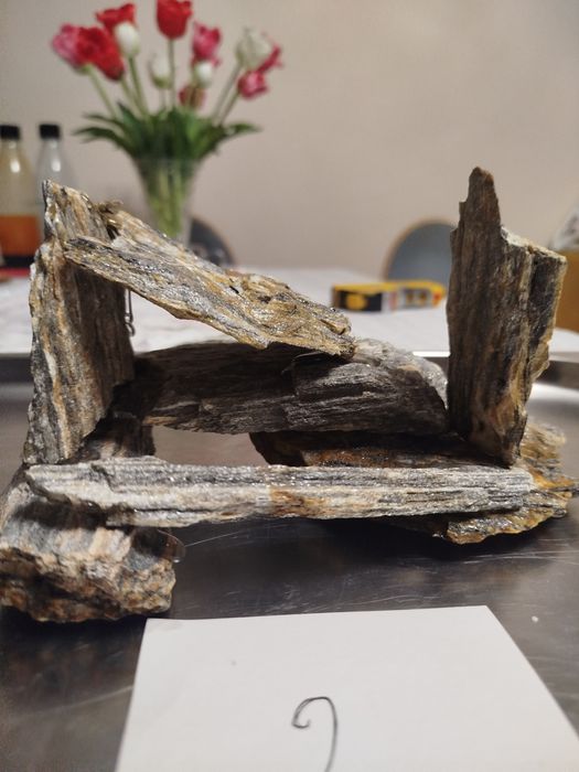 Sprzedam kompozycję do akwarium