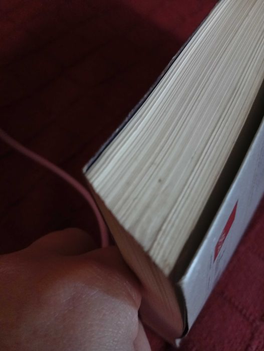 Que cavalos são aqueles que fazem sombra no mar?