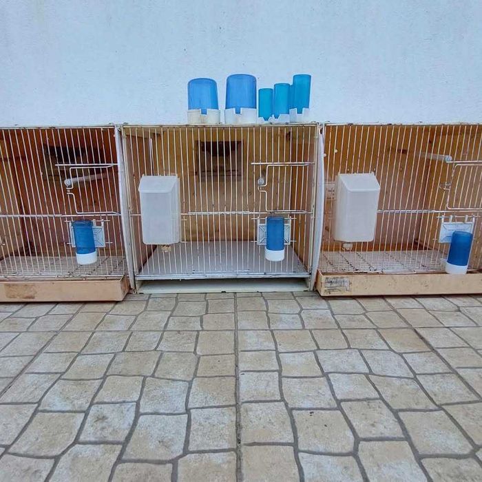 Vendo gaiolas para criação