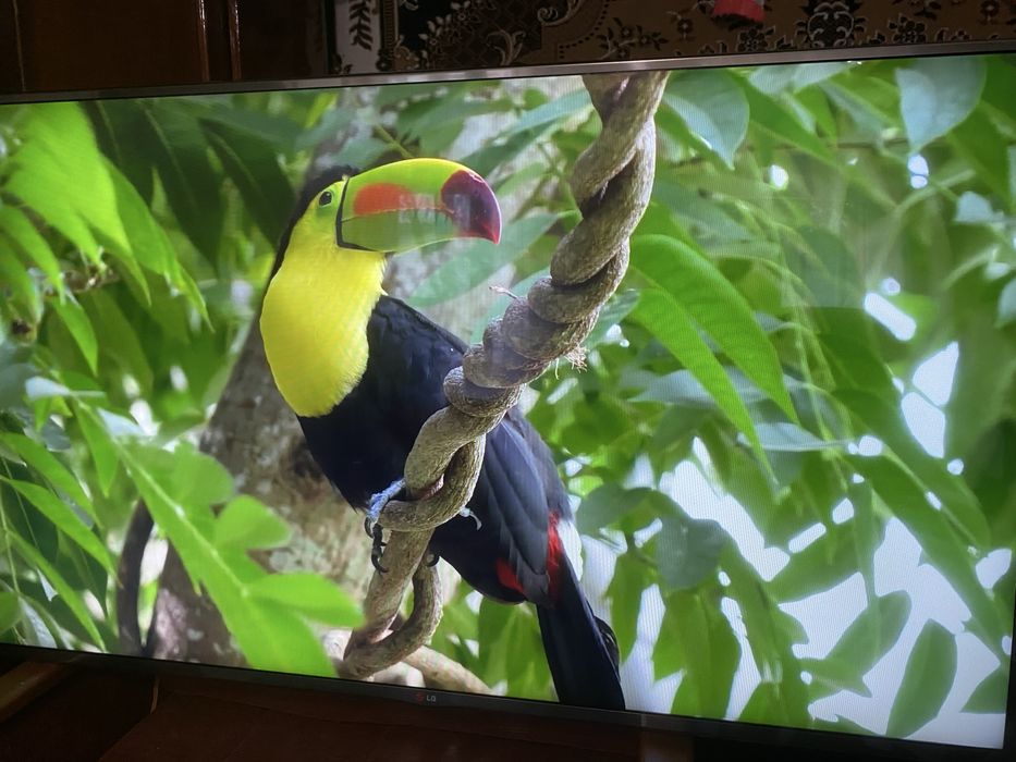 Продам 55 lg smart tv Т2
