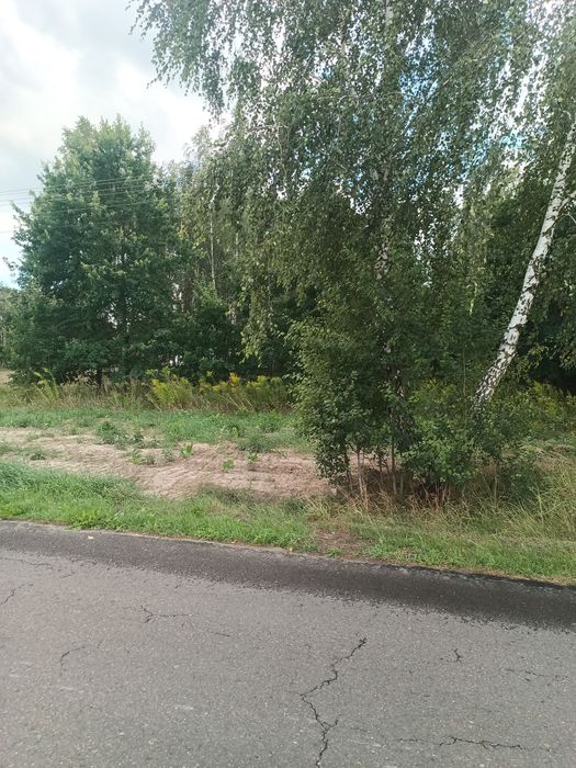 Zdjęcie 5