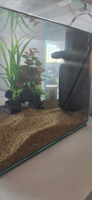 Vendo aquário Cubo 15L