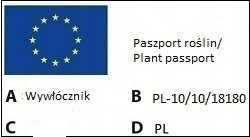 Myriophyllum Tuberculatum - PIĘKNOŚĆ