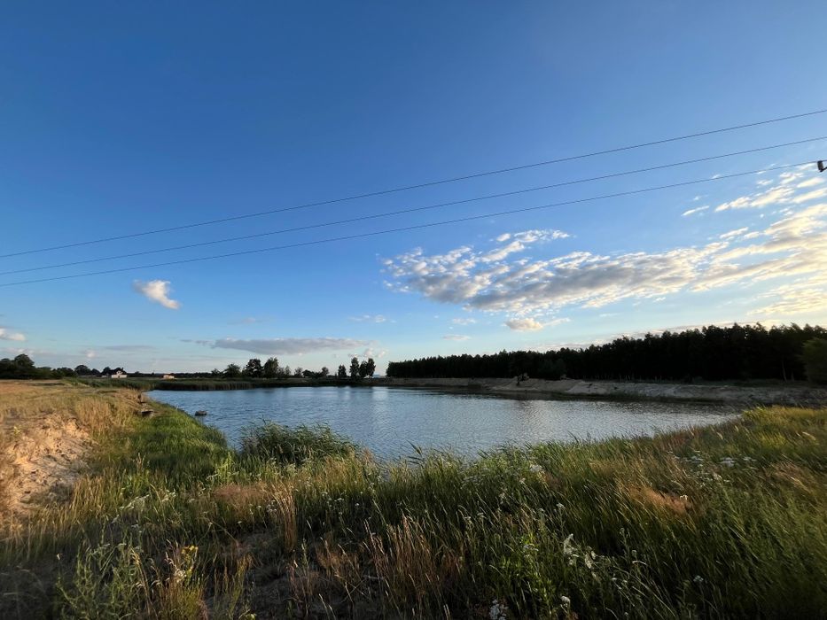 Staw hodowlany-rybny - Widok 3