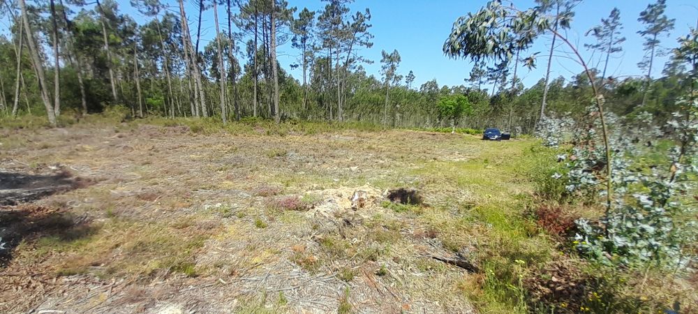 Oportunidade única de um ótimo investimento, Terreno rústico com 800m2