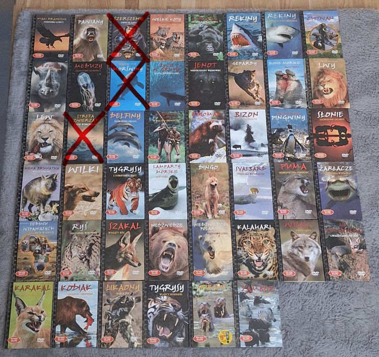 Zestaw nie kompletna kolekcja Płyty DVD (Drapieżniki z Bliska)
