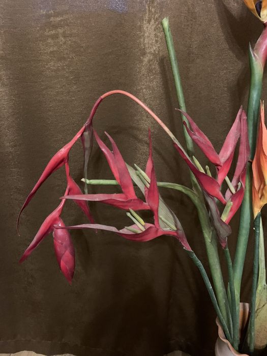 Букет. Цветы. Интерьер. Польша.