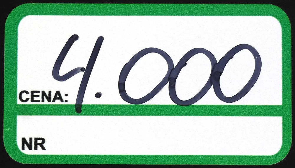 Odkurzacz naburtowy ECHO LG-600HO - Baras