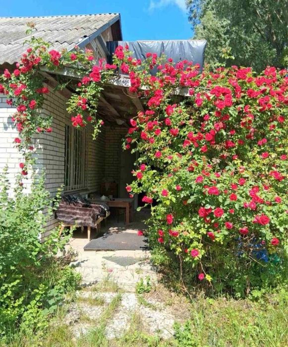 Будинок Дмитрівка Вишгородский район 35000$