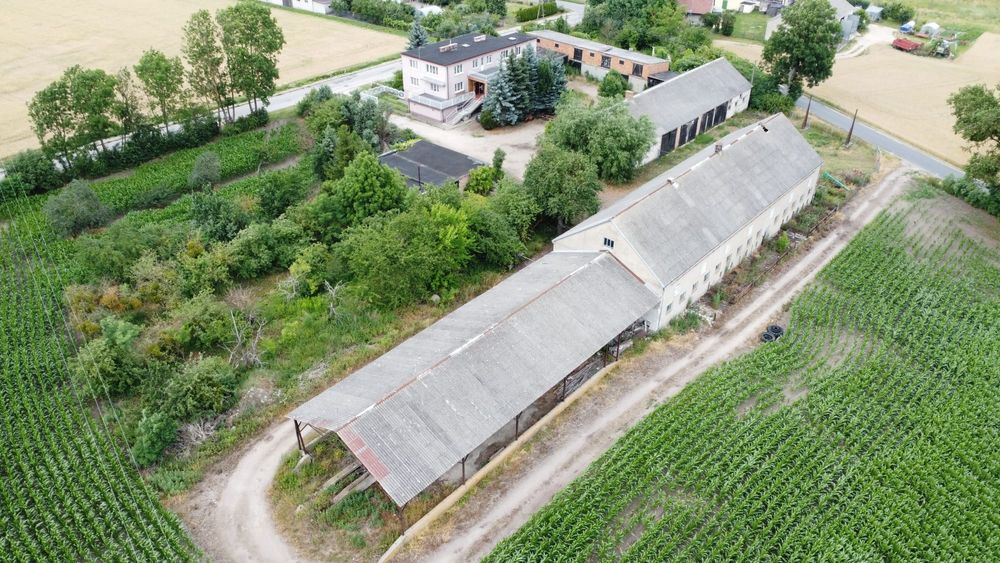 SPRZEDAM Gospodarstwo rolne - 30 ha
