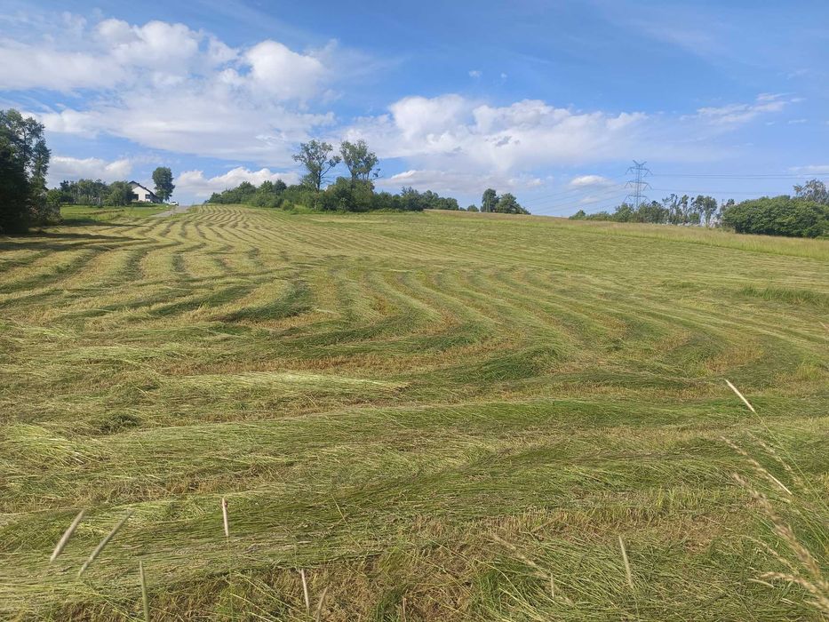 Sprzedam działki budowlane - Poręba, ul. Wiosenna - Widok 3