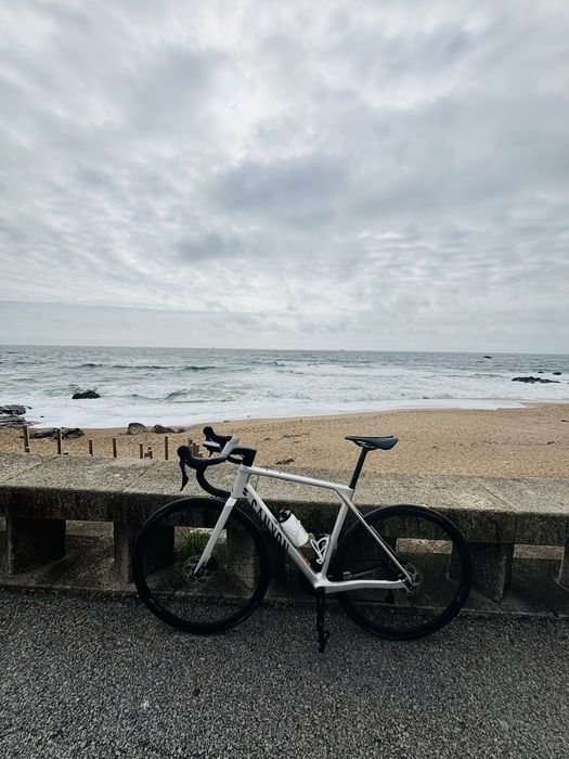 Canyon endurace cf7