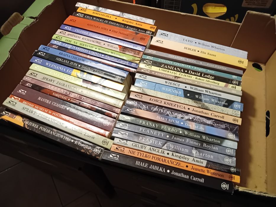 Kolekcja książek z serii Salamandra – Rebis – klasyka literatury