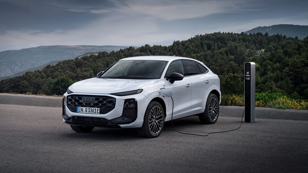 Zdjęcie w galerii numer 3