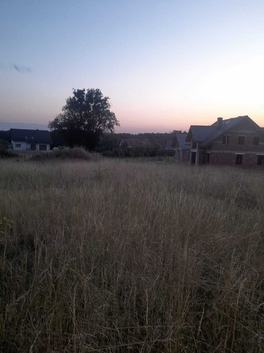 Zdjęcie 5