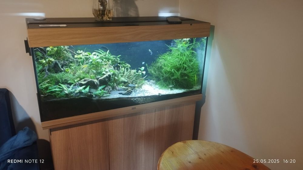 Akwarium juvel Rio 180