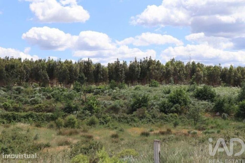 Terreno para construção em Seixo da Beira de 48000,00 m2