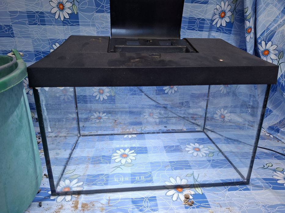 Akwarium Aquael 25l z pokrywą, oświetleniem i żwirem