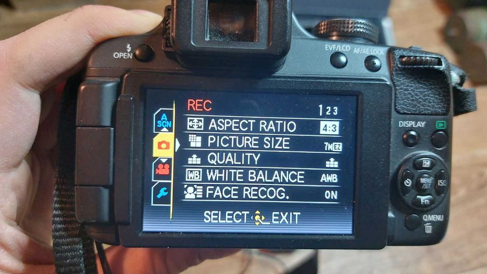 Фотоаппарат Panasonic Lumix DMC-FZ100 Black