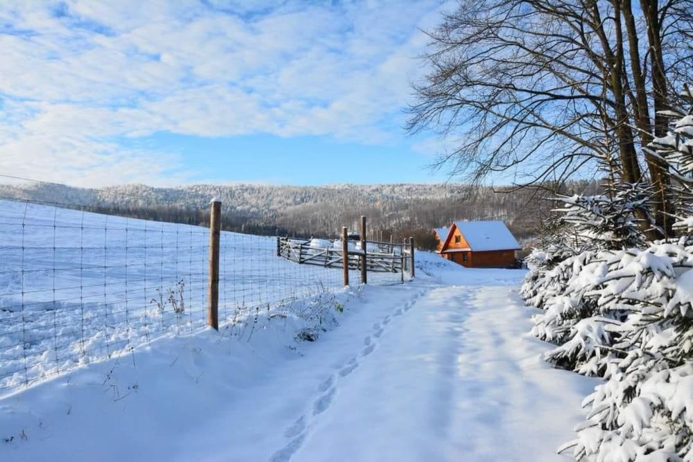 domki w Bieszczadach + SPA, alpaki i inne zwierzaki