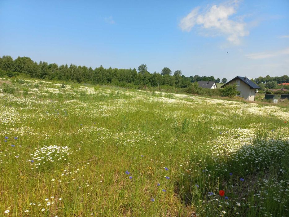 Działka mieszkaniowa - Kotłowo, Koszalin