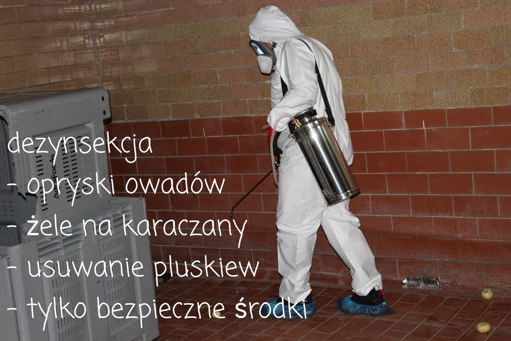 Deratyzacja, Dezynsekcja, Dezynfekcja, Ozonowanie, HACCP. "KRAZU"