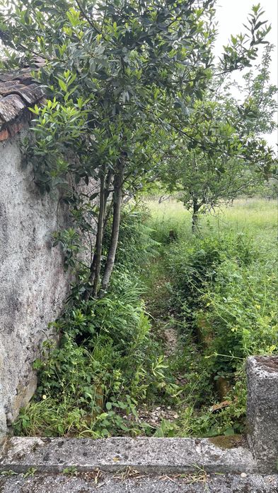Venda Casa De Aldeia