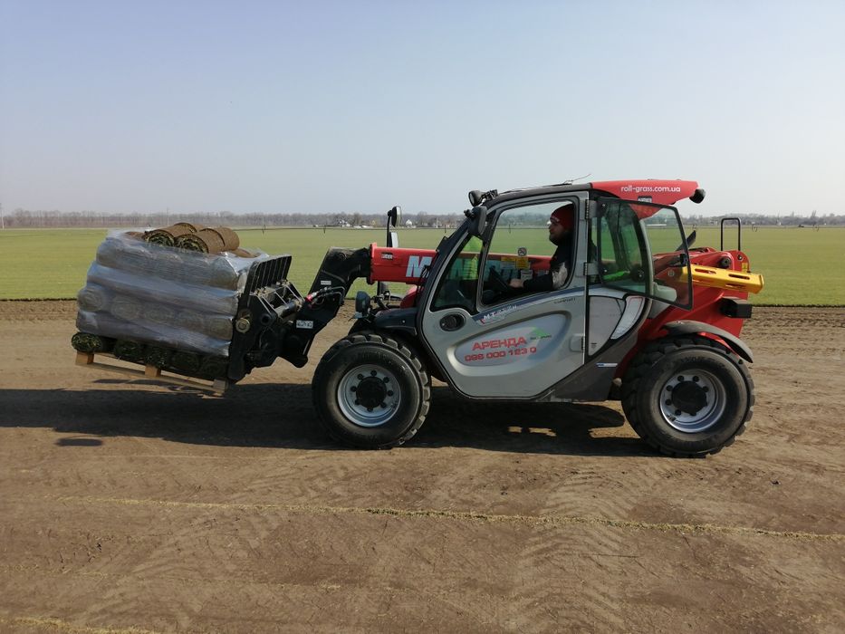 Рулонный газон из первых рук. Прозводители. Реализация по всей Украине