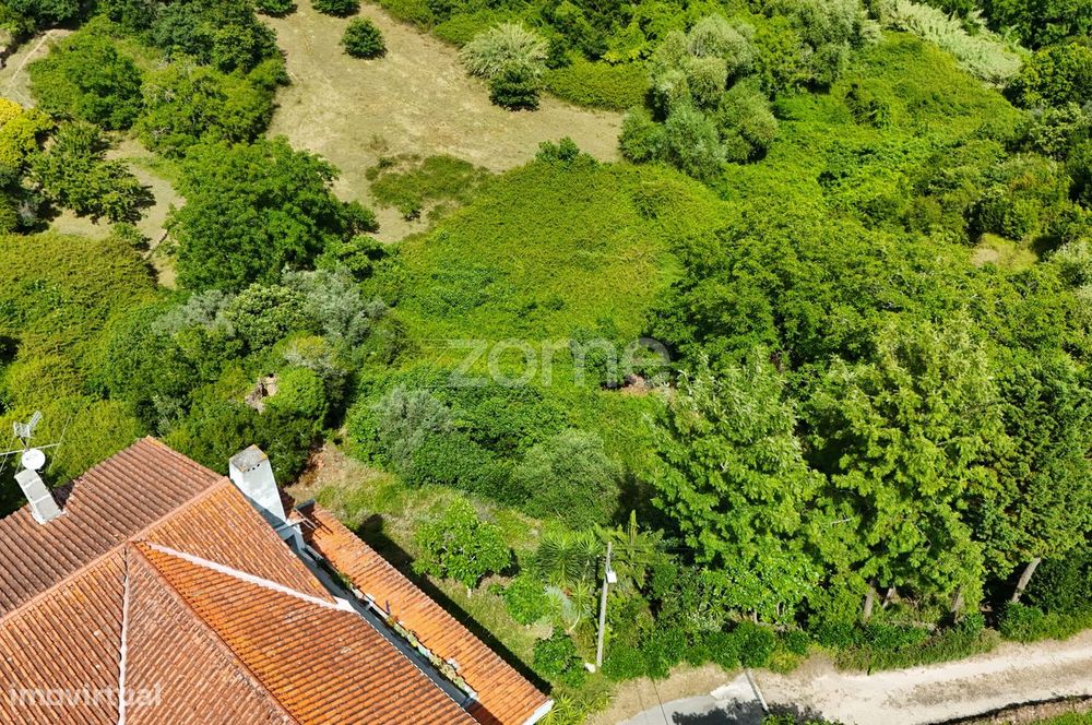 .Terreno Rustico | Bera |Almalaguês