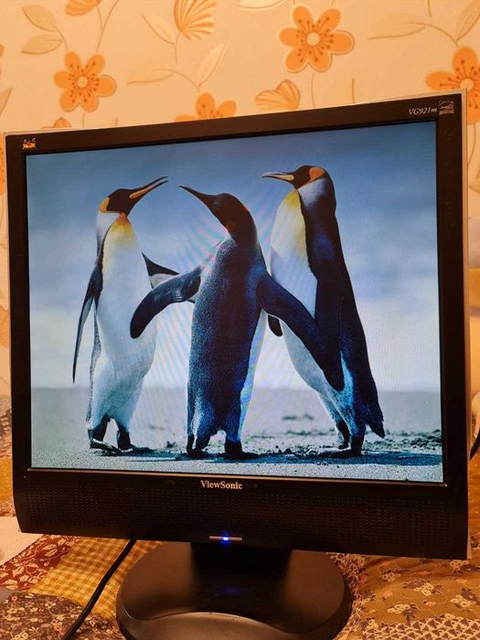 Монитор ViewSonic VG921m