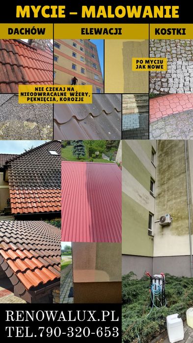 Mycie elewacji, dachów, kostki brukowej - malowanie dachów