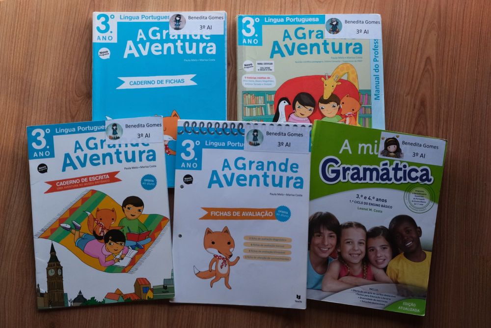 Manuais escolares - 3º Ano - 13 livros - €15 por todos eles