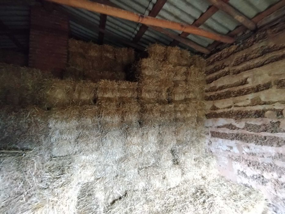 Venda de fardos de palha